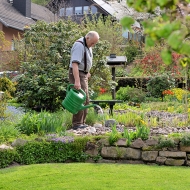 Senior arbeitet im Garten