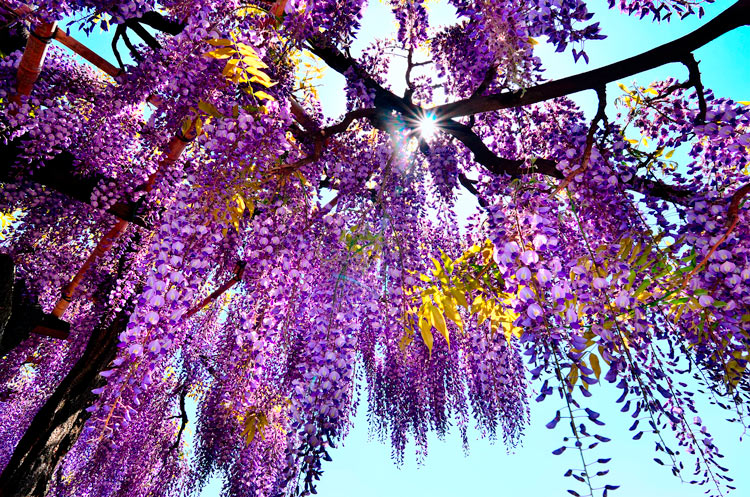 750-Fotolia_111831571_Subscription_L