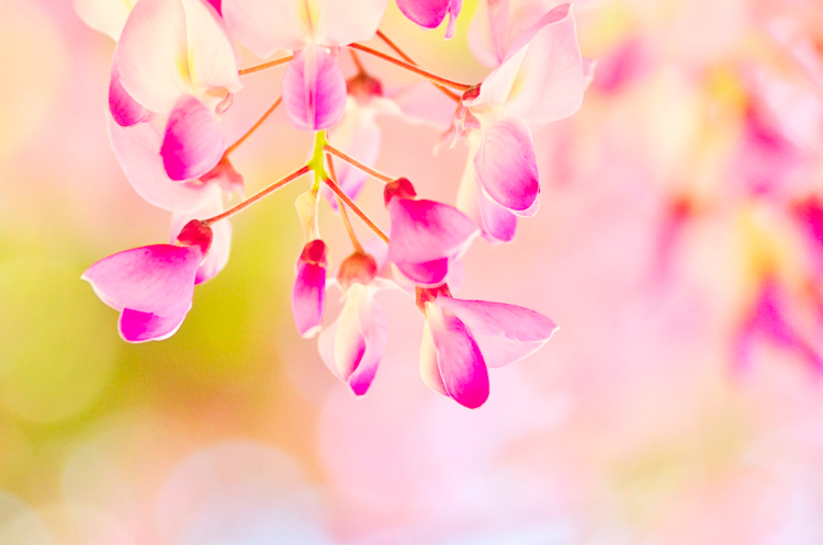 750-Fotolia_64381835_Subscription_L